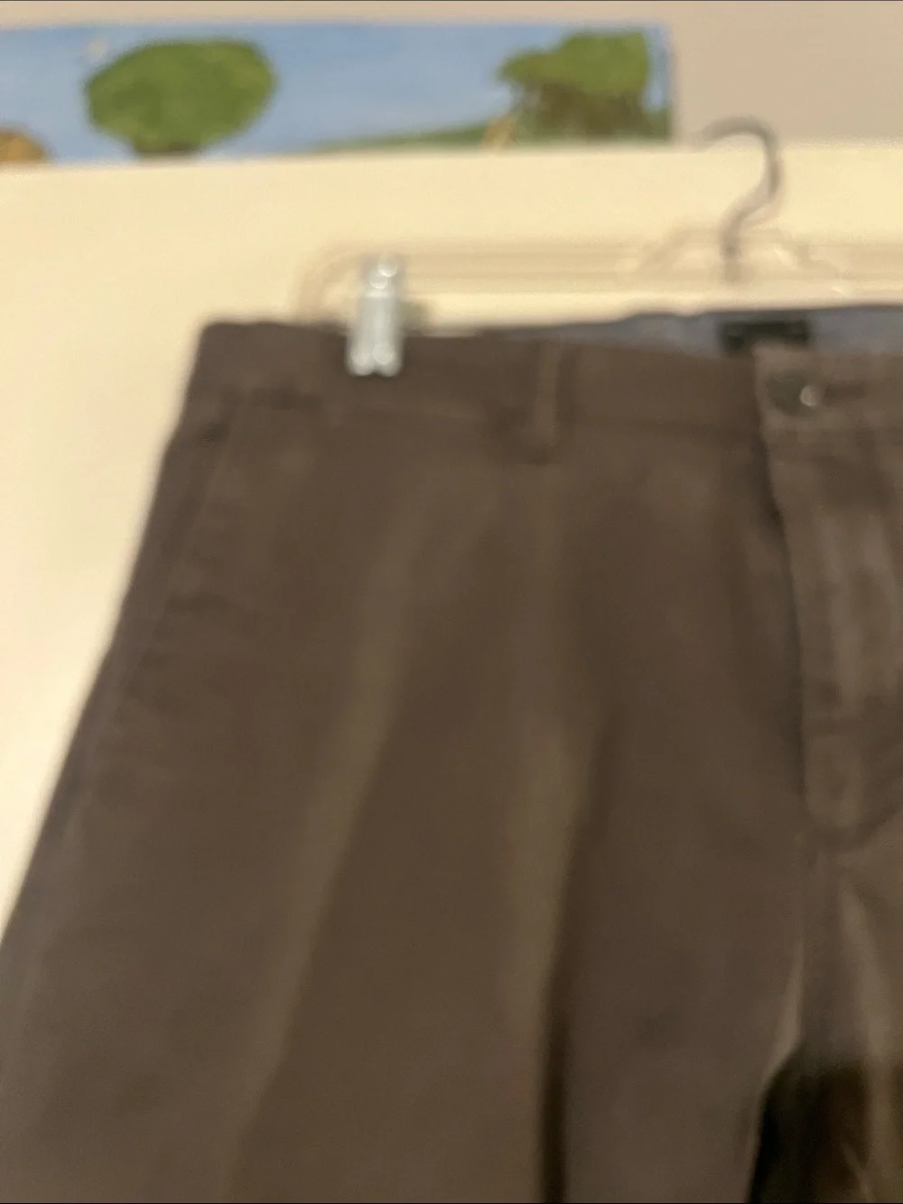 J. Crew flat front chino